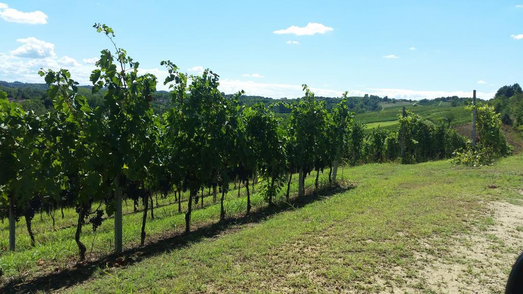 Willa Cascina Rollone Rocchetta Tanaro Zewnętrze zdjęcie